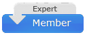 Expert Member